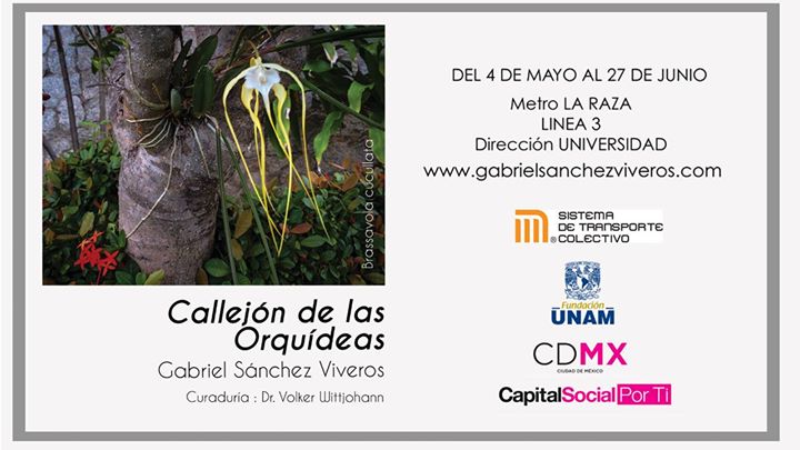 Exposición "Callejón de las Orquídeas"