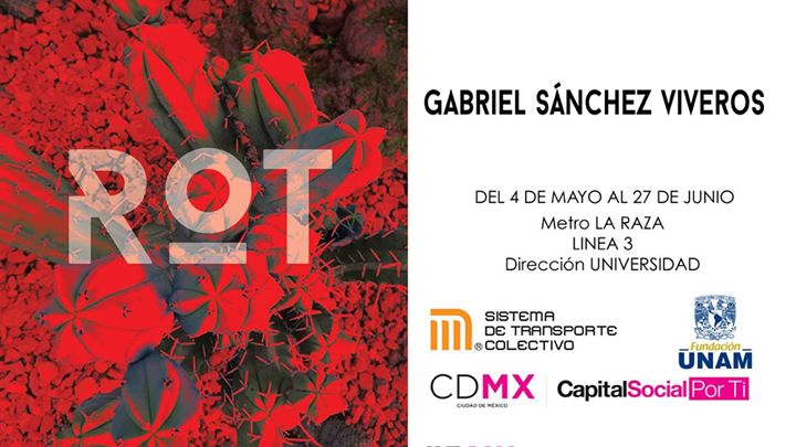 Exposición "Rot"